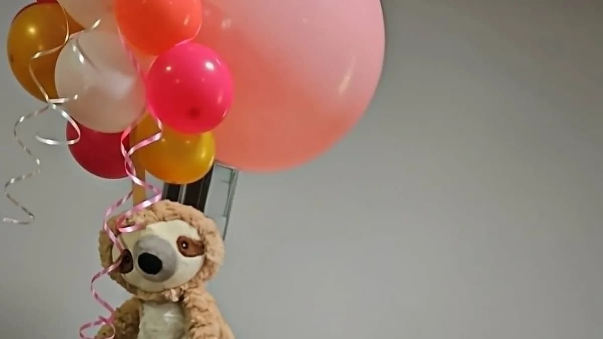 Sloth gift arrangement with colorful balloons